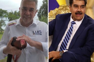 La punta de Luis Eduardo Martínez a Nicolás Maduro usando un gallo “pataruco” huyendo de uno pinto (+Video)