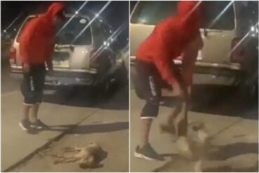 Ordenan investigación contra sujeto que agarró a un perrito que dormía y lo lanzó al aire: el terrible hecho ocurrió hace meses en Zulia (+Video)