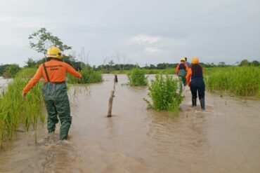 Al menos 20 viviendas anegadas en Barinas por la crecida del río Santo Domingo (+Fotos)