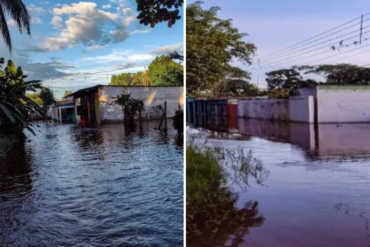 Registran inundaciones en Apure tras la crecida del río Uribante: “Estamos en alerta máxima”