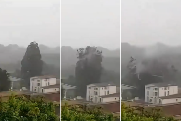 El impactante momento en el que un rayo pulverizó un árbol en una localidad de Francia (+Video)