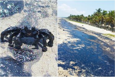 Derrame petrolero cubre costas de Falcón y Carabobo: tiene tamaño suficiente para cubrir todo el Parque Nacional Morrocoy