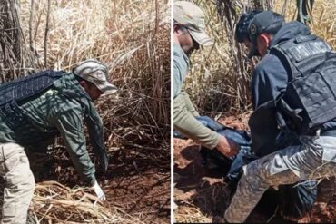 Infanticio que conmociona a Bolivia : adolescente mató a menor de ocho años en un ritual satánico