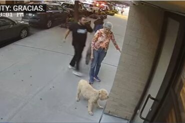 Sujeto golpeó brutalmente a una anciana cuando paseaba a su perro en Nueva York (+Video)