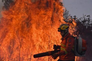 Humo de incendios forestales en Sudamérica afectará a Venezuela en los próximos días (+Detalles)