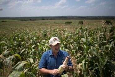 Brecha cambiaria está afectando fuertemente a los productores agropecuarios