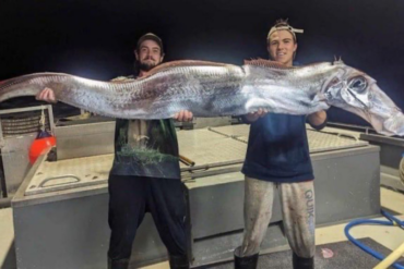 El pez del fin del mundo que fue capturado en Australia y que se asocia con desastres naturales