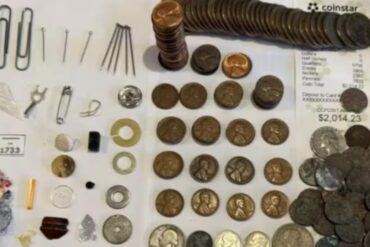 Ahorró durante 70 años monedas y le dejó prácticamente un tesoro como herencia a su nieto