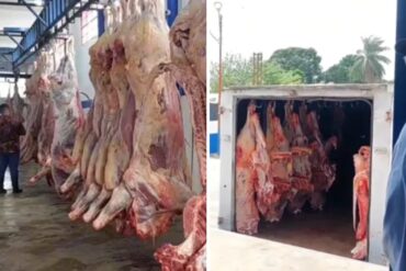 Advierten sobre venta de carne de caballos y burros en El Tigre: no es de consumo legal en el país (+Fotos)